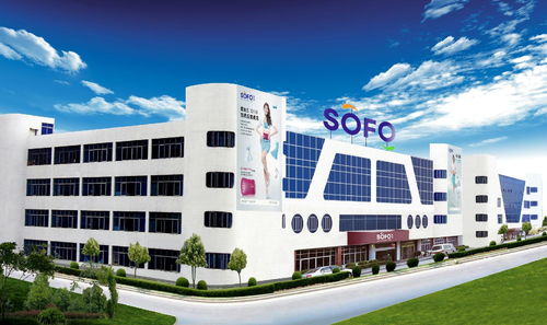 廣東索弗電子實業