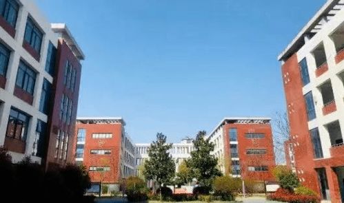 金鵬 山河系 驚艷 金鵬 山河賦中軸頭排觀景洋房,即將震撼加推