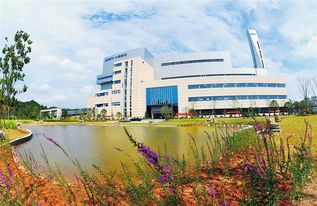 創(chuàng)衛(wèi),讓贛州更美好